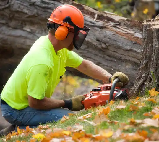 tree services Finzel